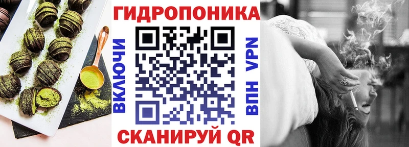 сколько стоит Судогда Cannafood конопля