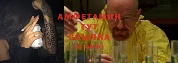 хмурый Абаза