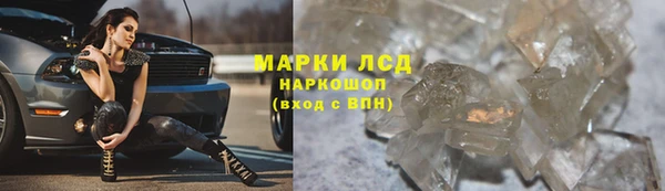 хмурый Абаза