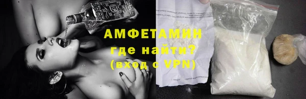 молекула духа Осташков