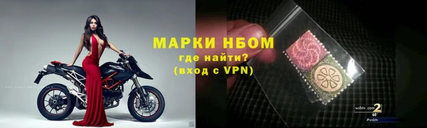 хмурый Абаза