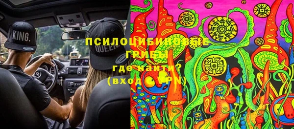 хмурый Абаза